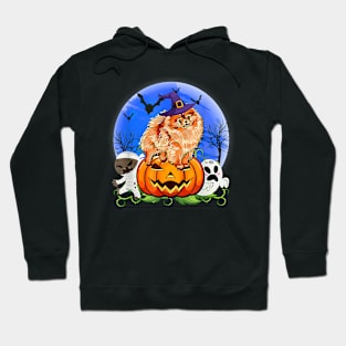 Pomeranian Halloween Costume Funny Hoodie